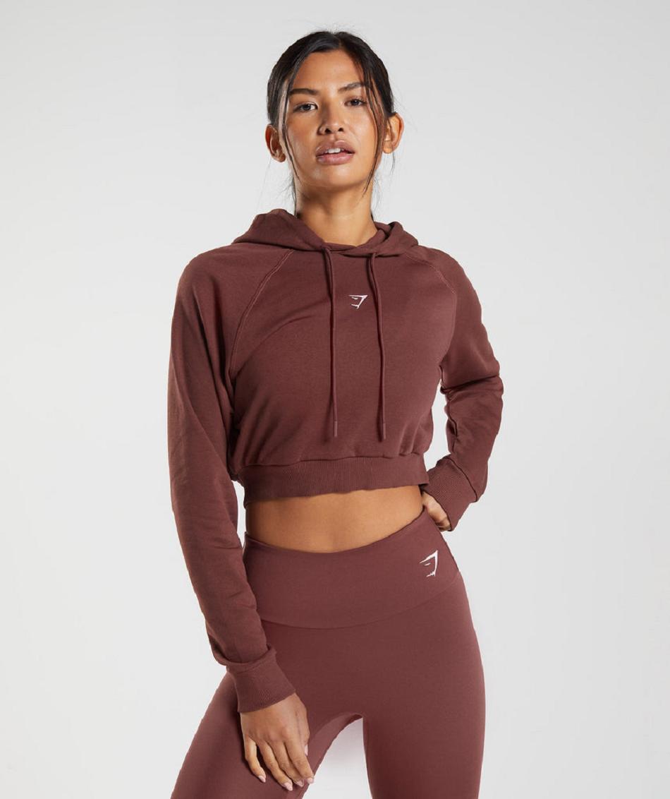 Sudadera Con Capucha Gymshark Entrenamiento Cropped Mujer Rosas Marrones | CO 2023EBC